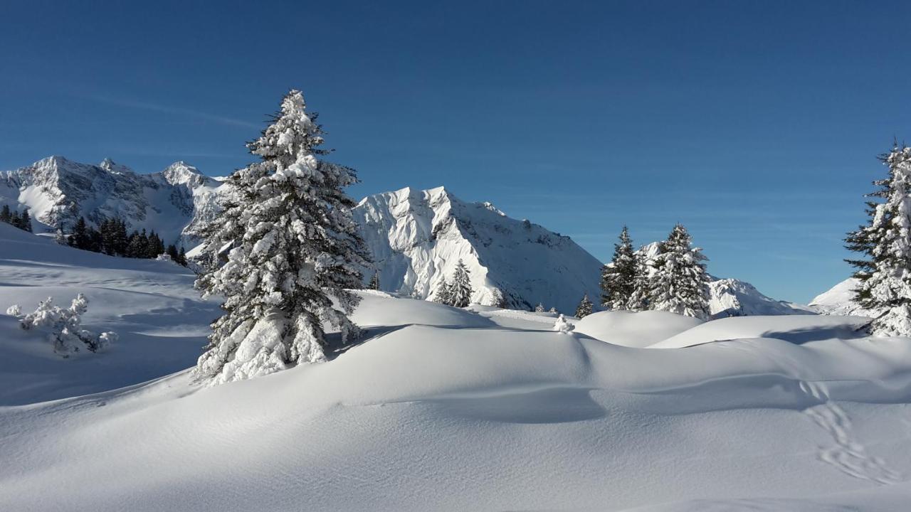 Landhaus Marion Holzgau Exteriér fotografie